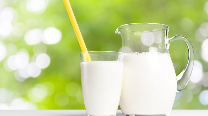 Most Popular Dairy Products and Their Nutritional Value