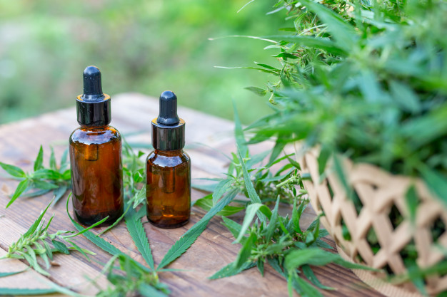 Side Effects of CBD Oil in Dog Breeds